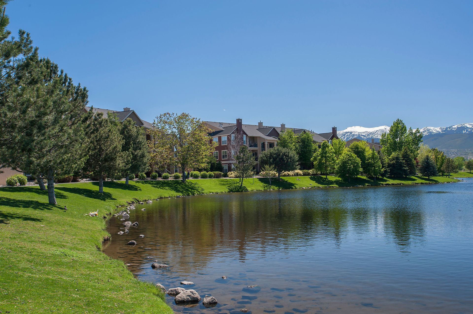 Waterfront lawn with trees and apartment buildings along a pond, with mountains in background.
