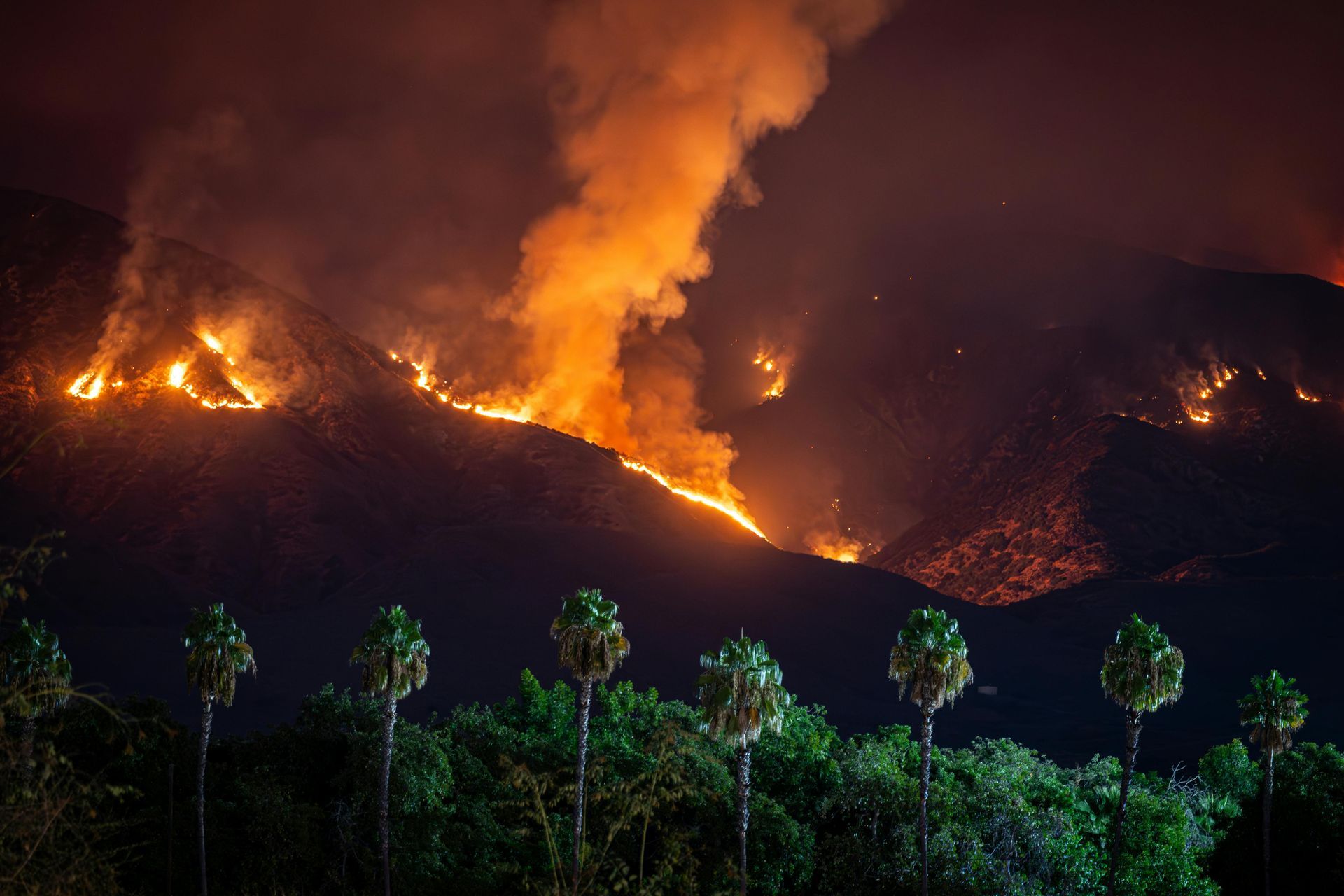 Nighttime mountain wildfire with flames and smoke billowing. Palm trees in foreground.