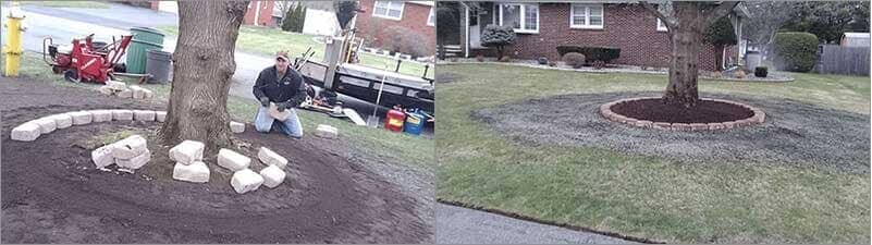Tree Before and After - Landscaping services in Albany, NY