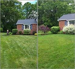 House lawn before and after Landscaping - Landscaping services in Albany, NY
