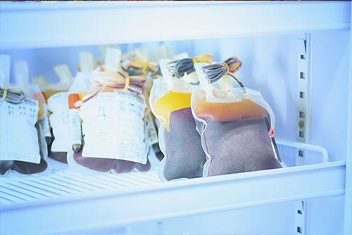 Commercial Refrigeration Repair — Blood Bags Inside The Refrigerator in Gresham, OR