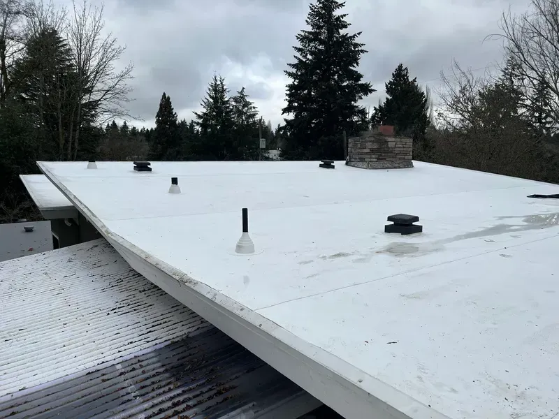 White flat roof with vents, chimney, and trees under cloudy sky.