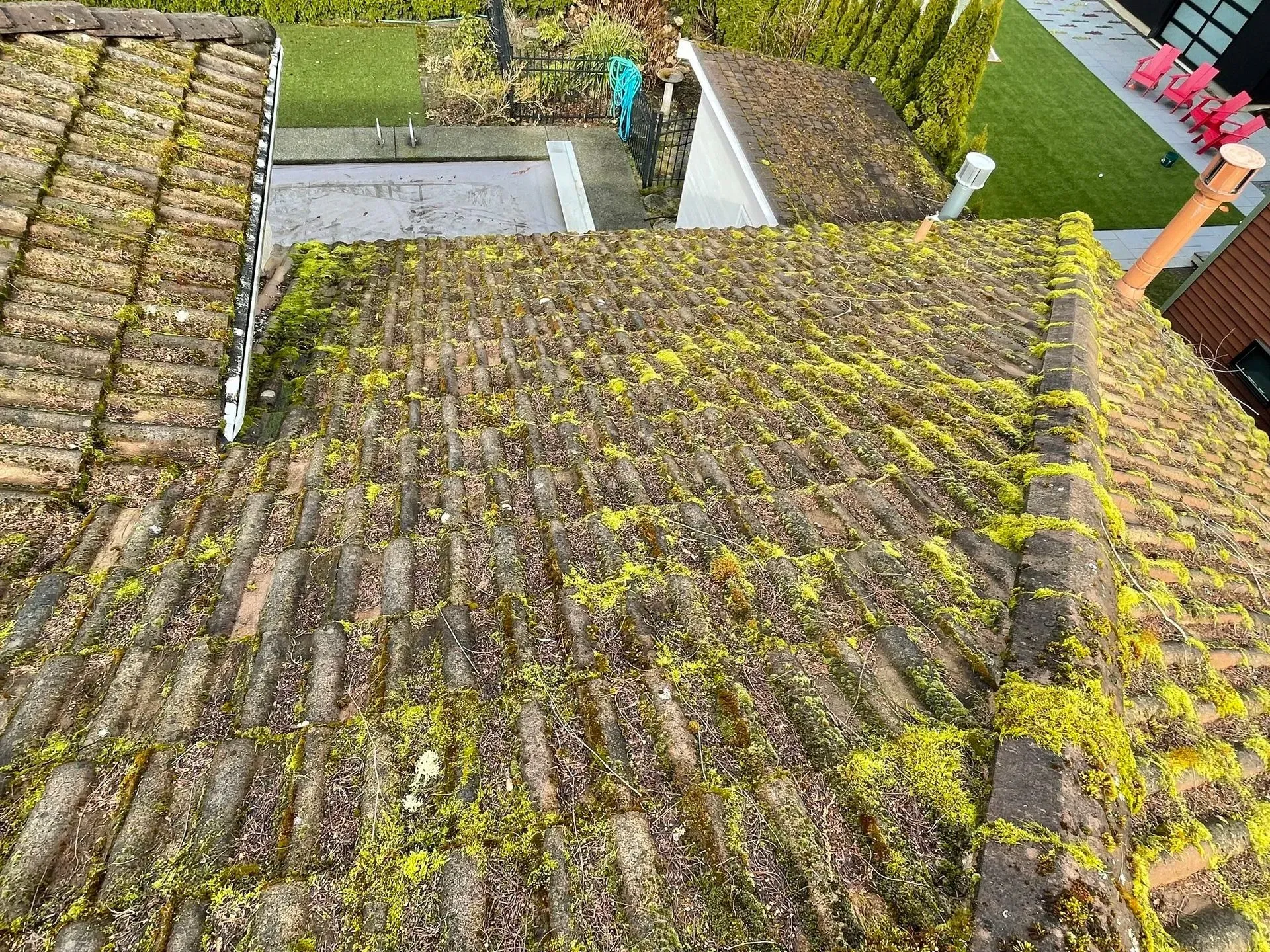 Moss-covered roof tiles on a house; green moss, brown tiles, outdoor setting.