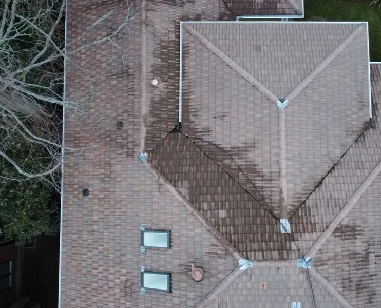 Overhead view of a brown tiled roof with two skylights, some debris and a tree in the background.