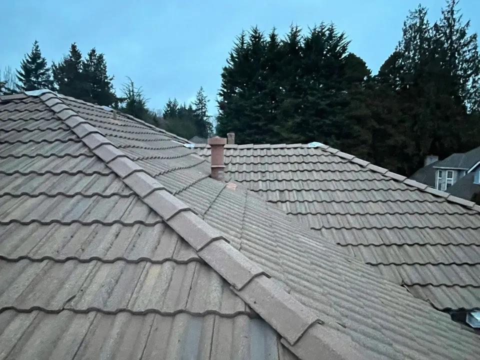 Brown tiled roof with a chimney, set against trees and a cloudy sky.