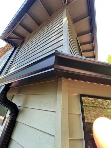 Dark brown rain gutters on a house with light green siding and a window.