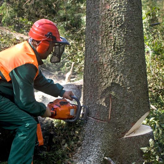 Palma Construction LLC | A man is cutting a tree with a chainsaw