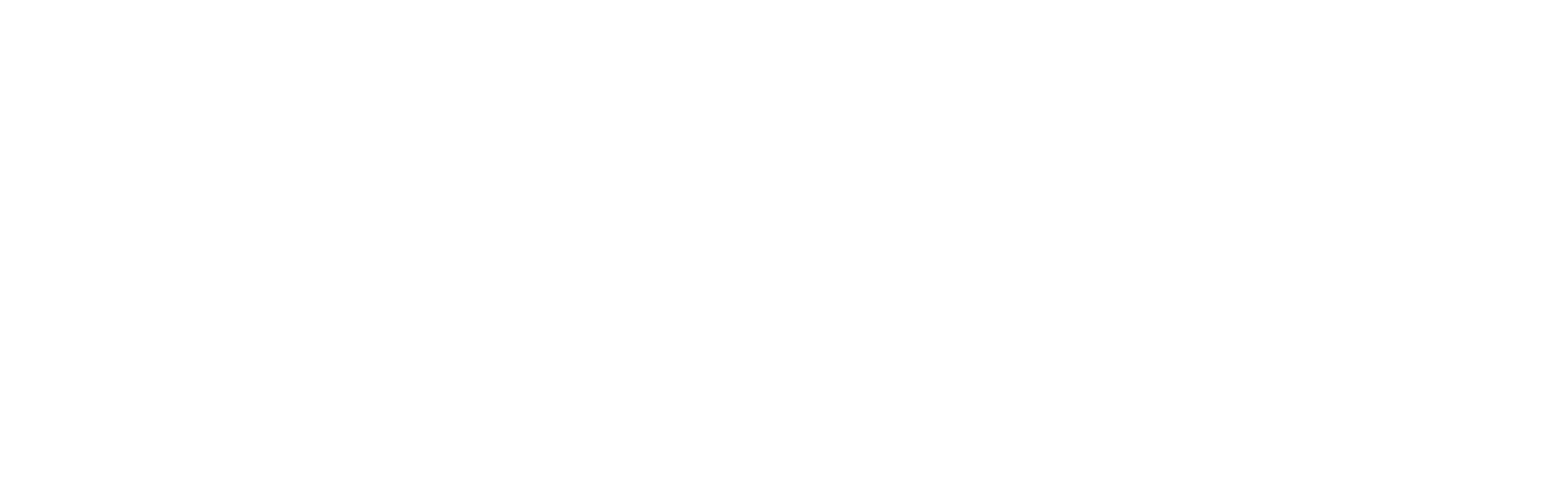Action Tree Service | Tree Trimming | Beaufort, SC