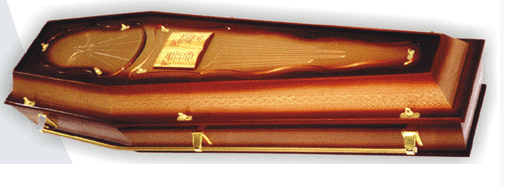 Semi Luxo Biblia 310