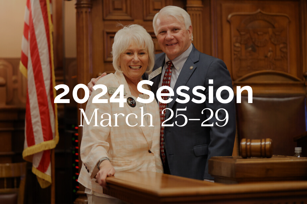 2024 house session march 25-29