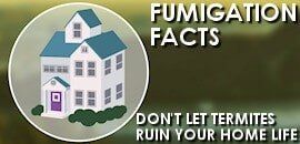 Fumigation Facts