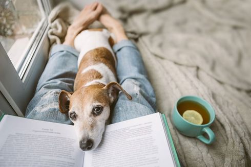 Reading at Home with Pet — Greensboro, N.C — Merlin Centre For Hypnosis & Enlightenment