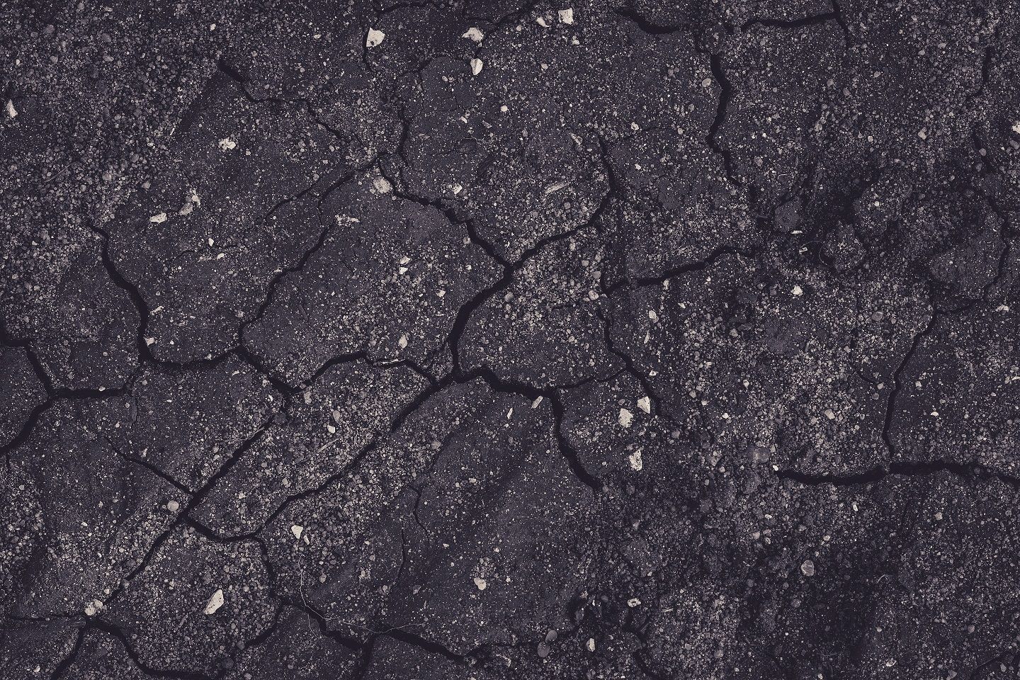 This asphalt driveway is experiencing cracks and should be filled and sealed