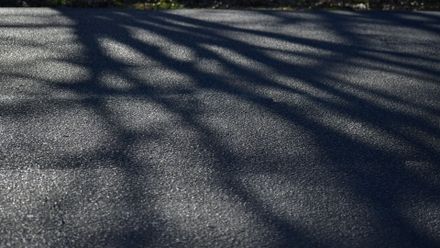 Properly maintained asphalt - cracks are stopped and the sealant is good