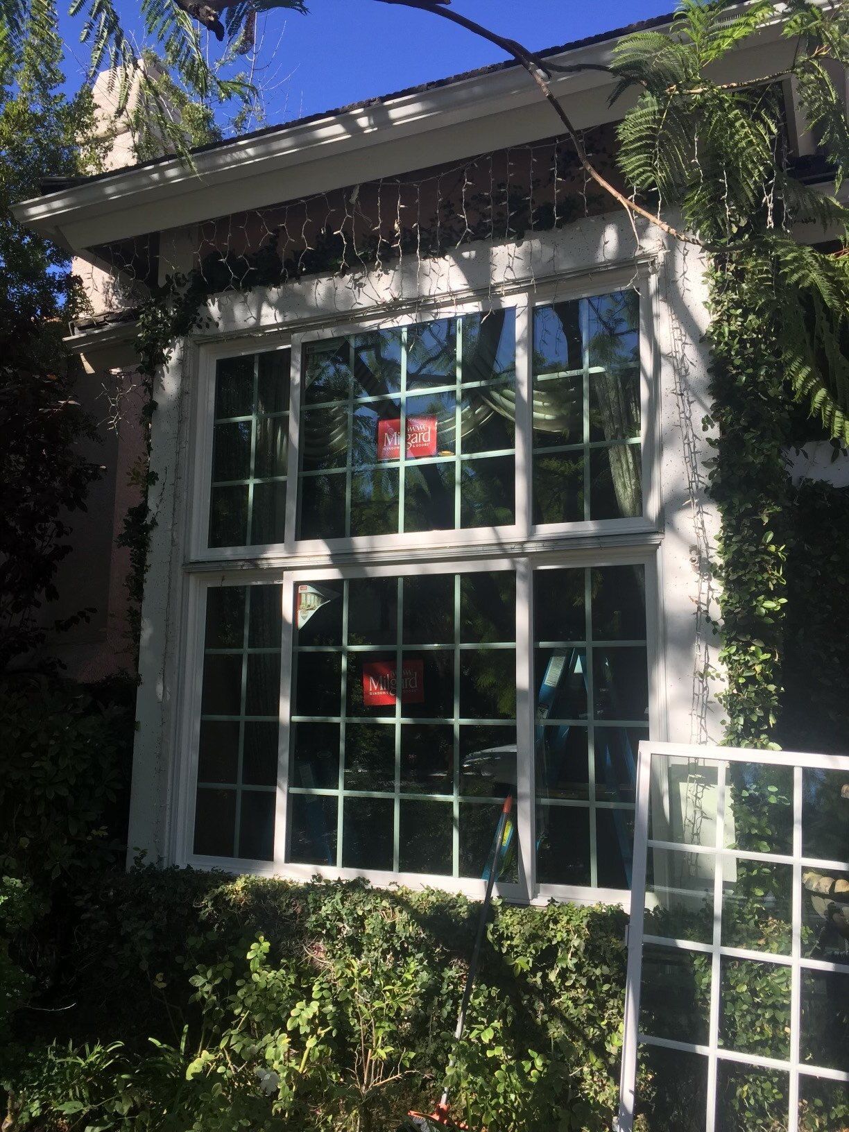 A large window on the side of a house surrounded by trees.
