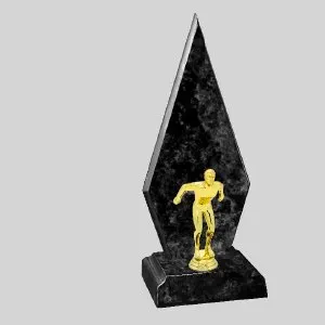 Swimming trophy | Brisbane, QLD | Rivercity Locksmiths