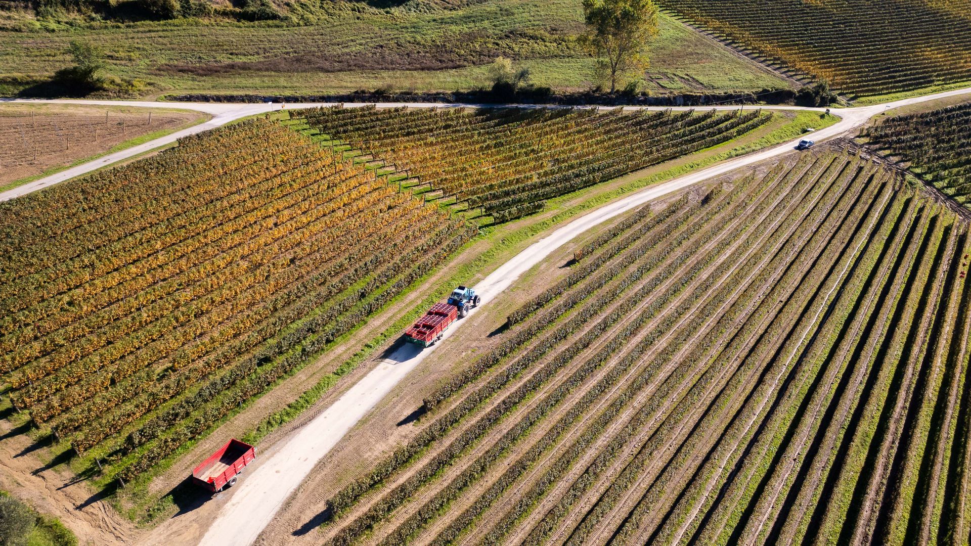 La Vigna Podere Gagliassi