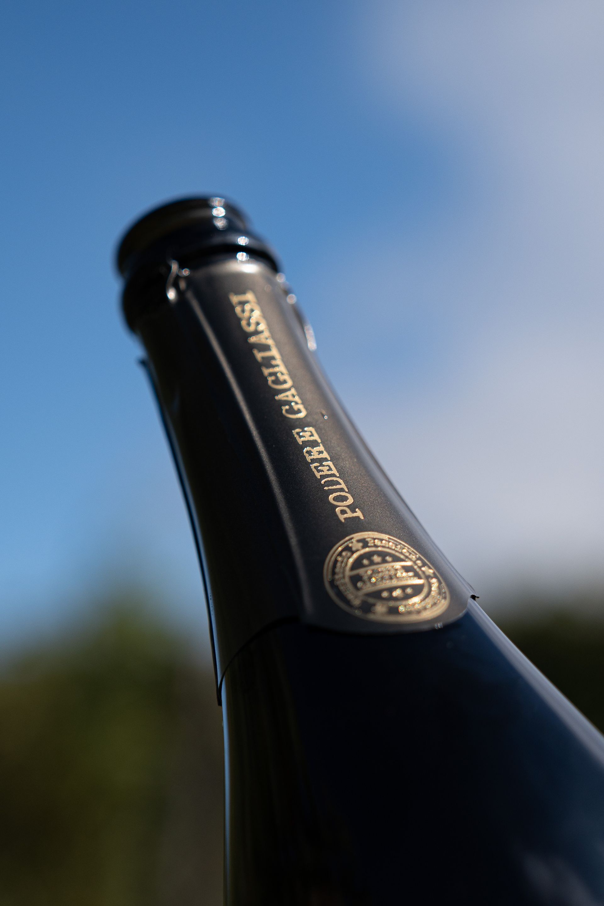 Alta Langa Brut o Pas Dosé: differenze, caratteristiche e quale scegliere