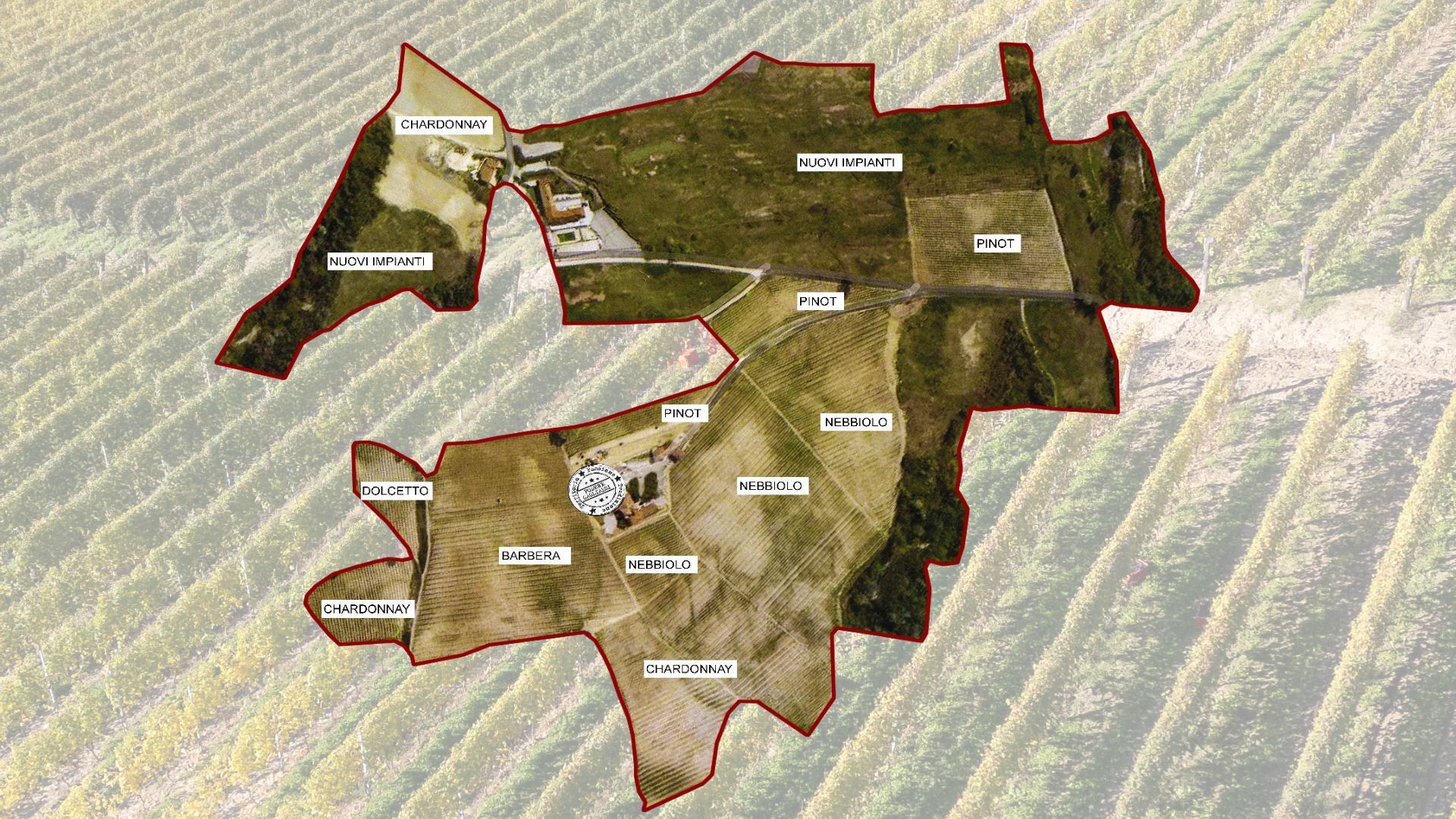 Vigne Podere Gagliassi