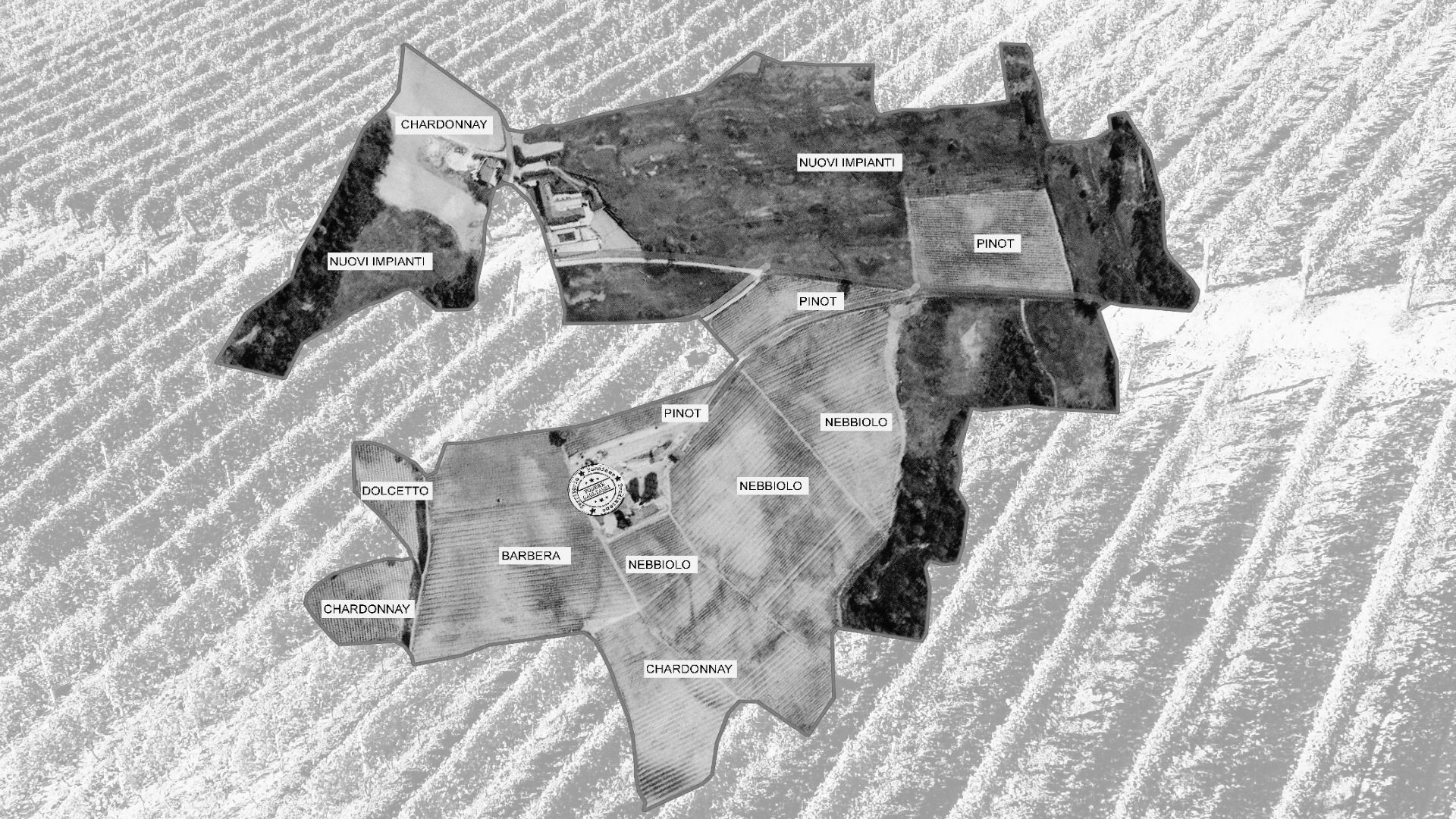 Vigne Podere Gagliassi