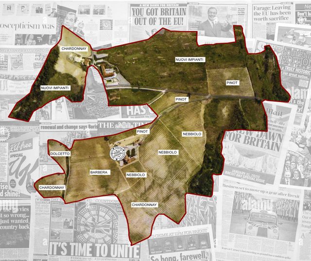 Vigne Podere Gagliassi