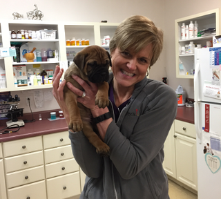 Veterinary Care — Woman Holding Cute Kitten And Puppy In Centralia, IL