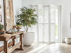 A bright room with a large white potted plant, folding shutters, and a rustic wooden table.