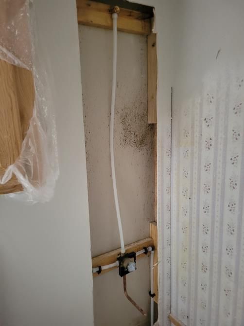 Plumbing fixture installed in a partially open wall; white PEX pipes and copper. Dark mold present on the wall.