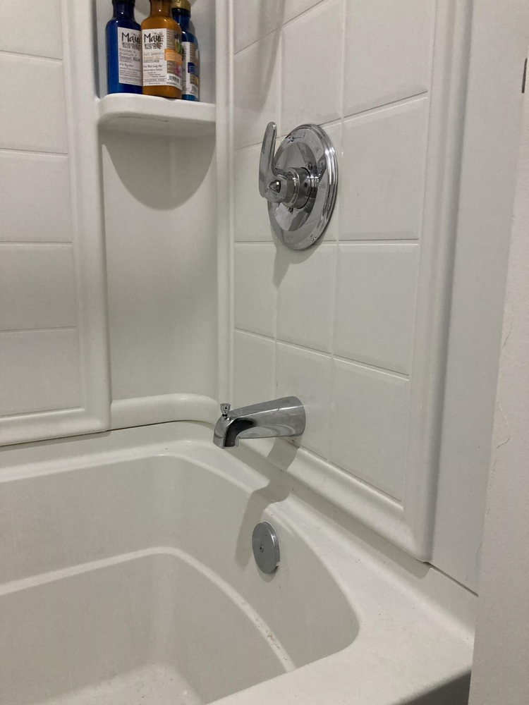 White bathtub with chrome fixtures; shampoo bottles on shelf in corner.