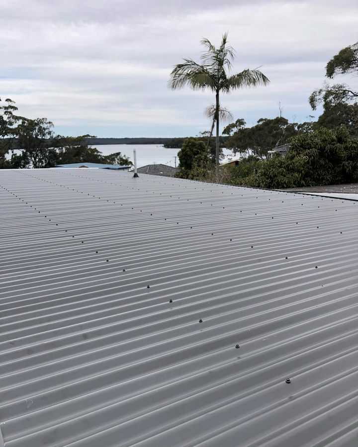 A Roof With a View of a Body of Water and Palm Trees — Gutterworx In Wamberal NSW