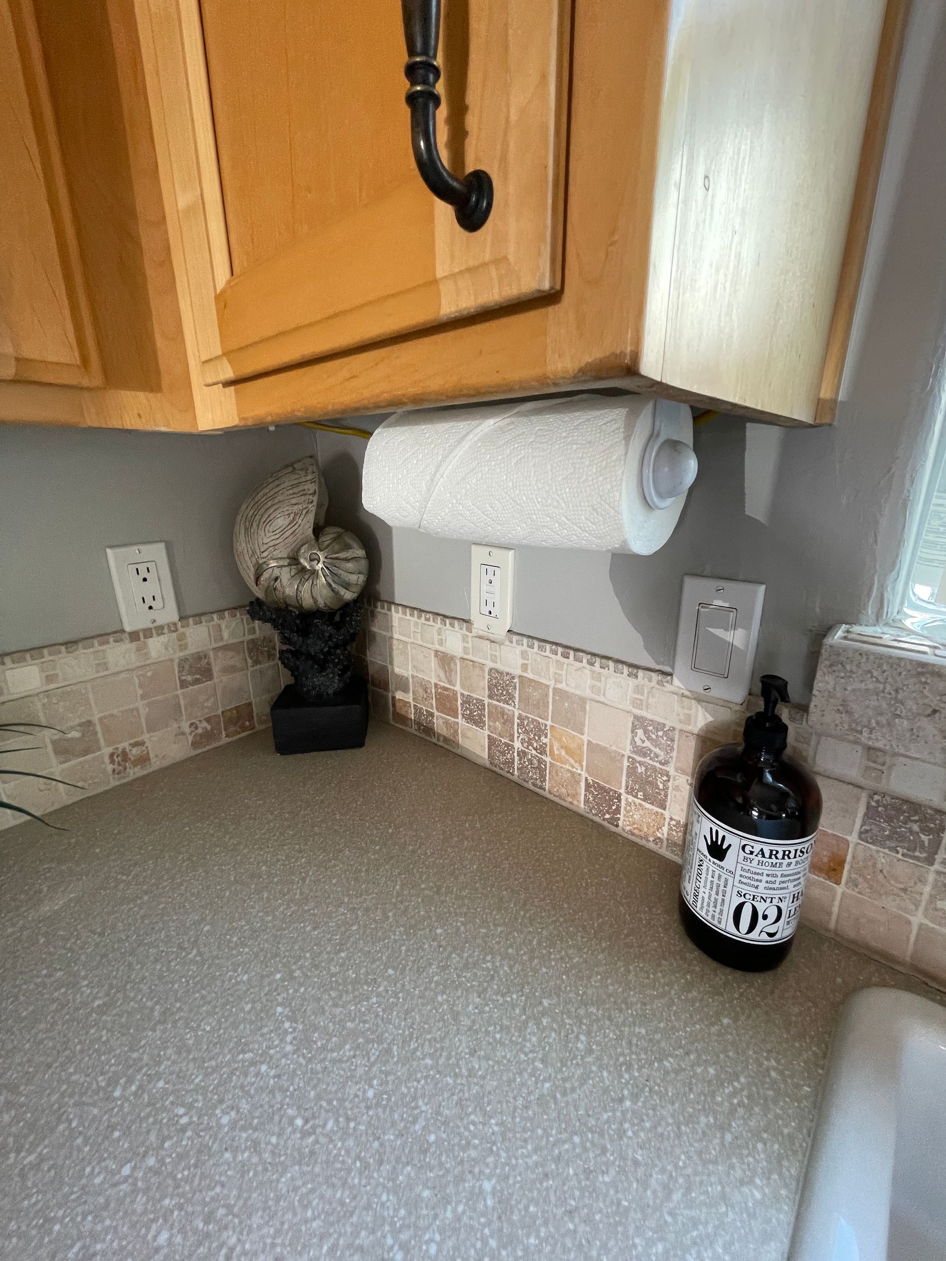 A kitchen counter with a paper towel holder and a bottle of soap.