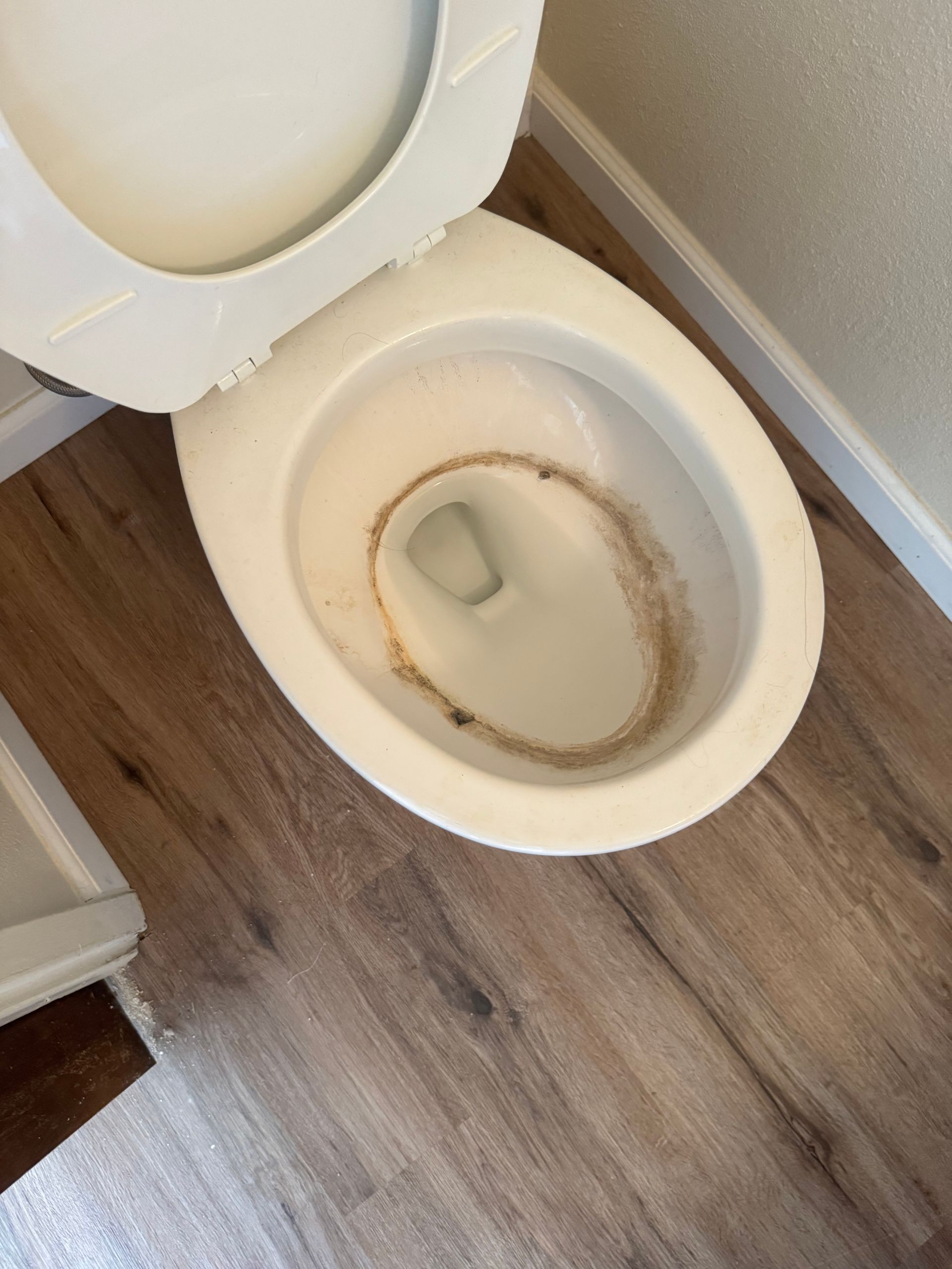 White toilet bowl with a brown ring stain, open seat. Dark wood-look flooring.