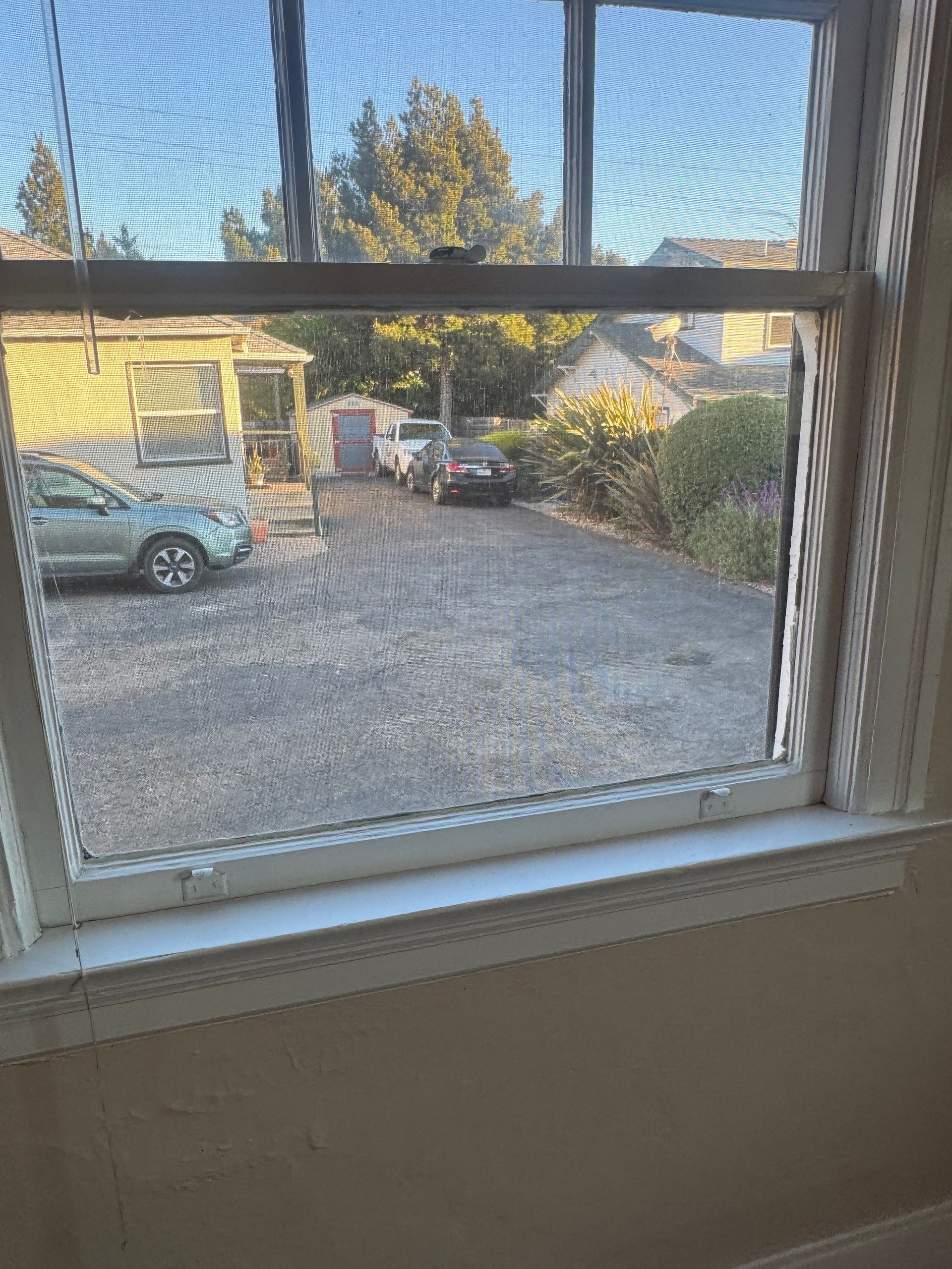 View through a window: a driveway with cars and a house, trees in the background.