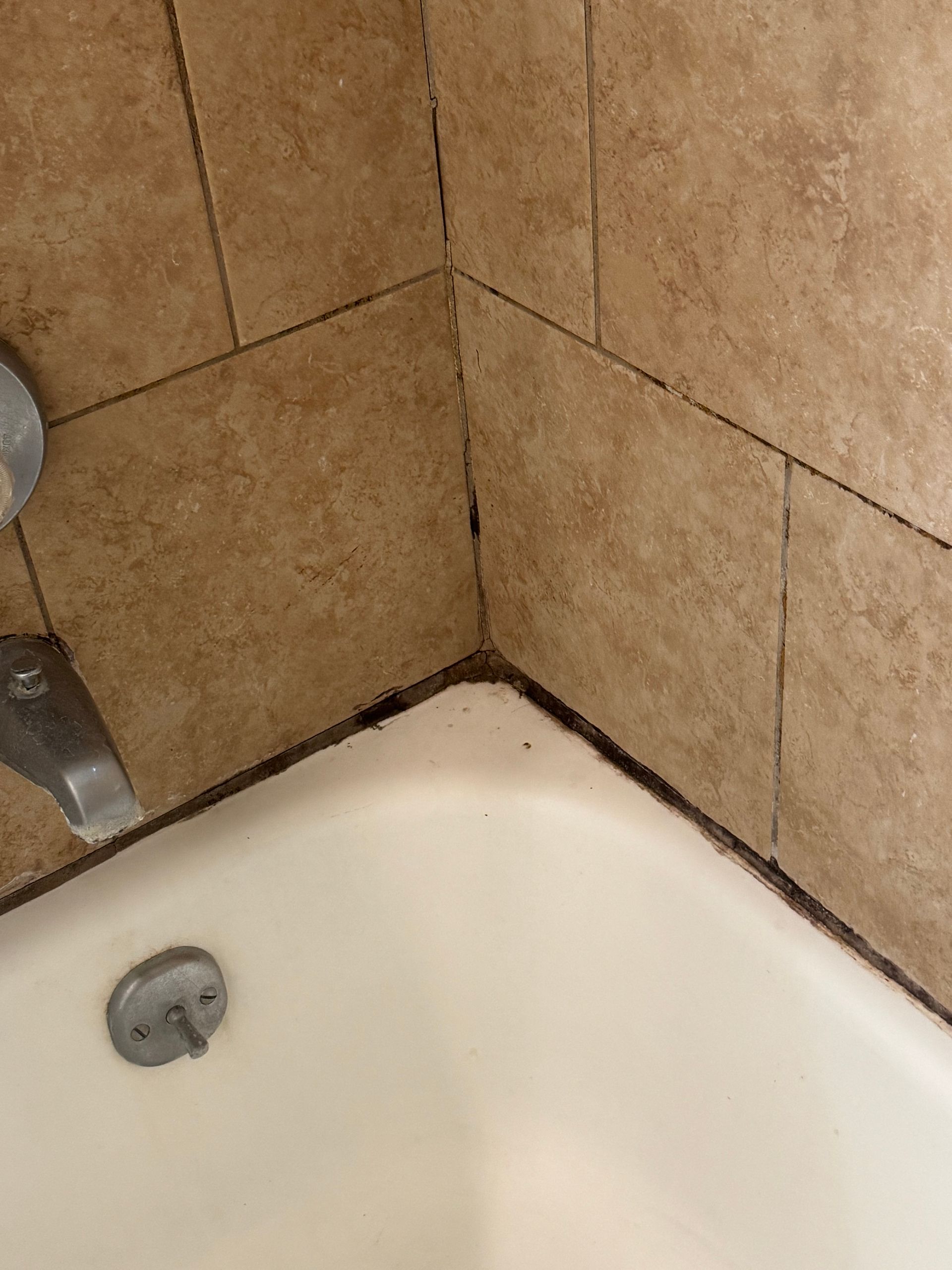 Corner of a tiled shower stall with dark mold along the grout lines and a white bathtub.