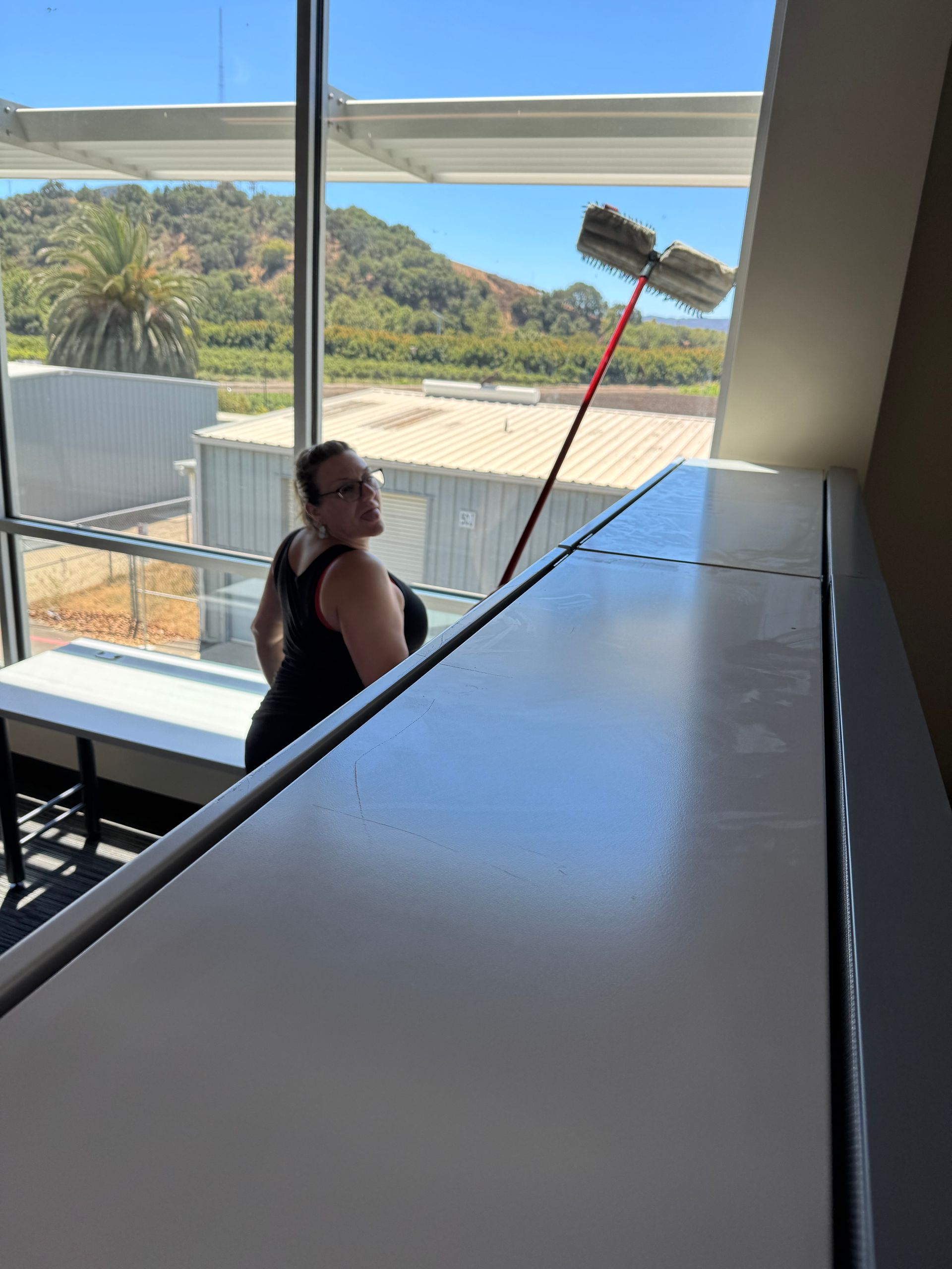 Woman cleans a window with a long-handled squeegee in a bright office setting, with a view of a landscape.