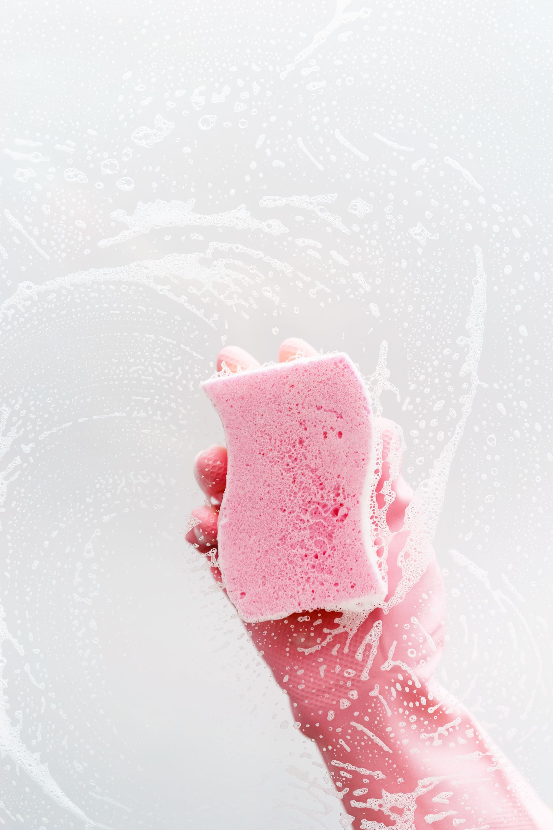 A person wearing pink rubber gloves is holding a pink sponge.