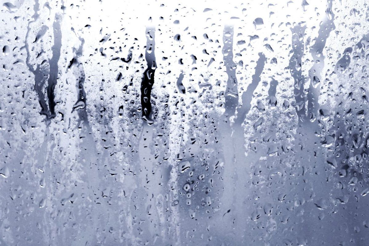 Why High Humidity Can Make a Home Feel Warmer Than It Really Is