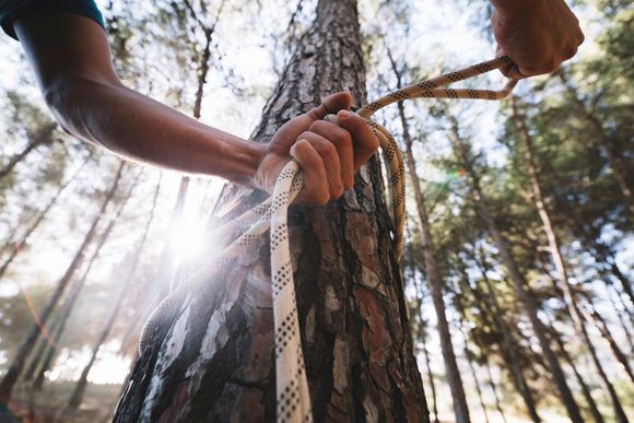 indicating to keep the tree