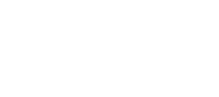 Robinson's Family Fun Entertainment Center logo