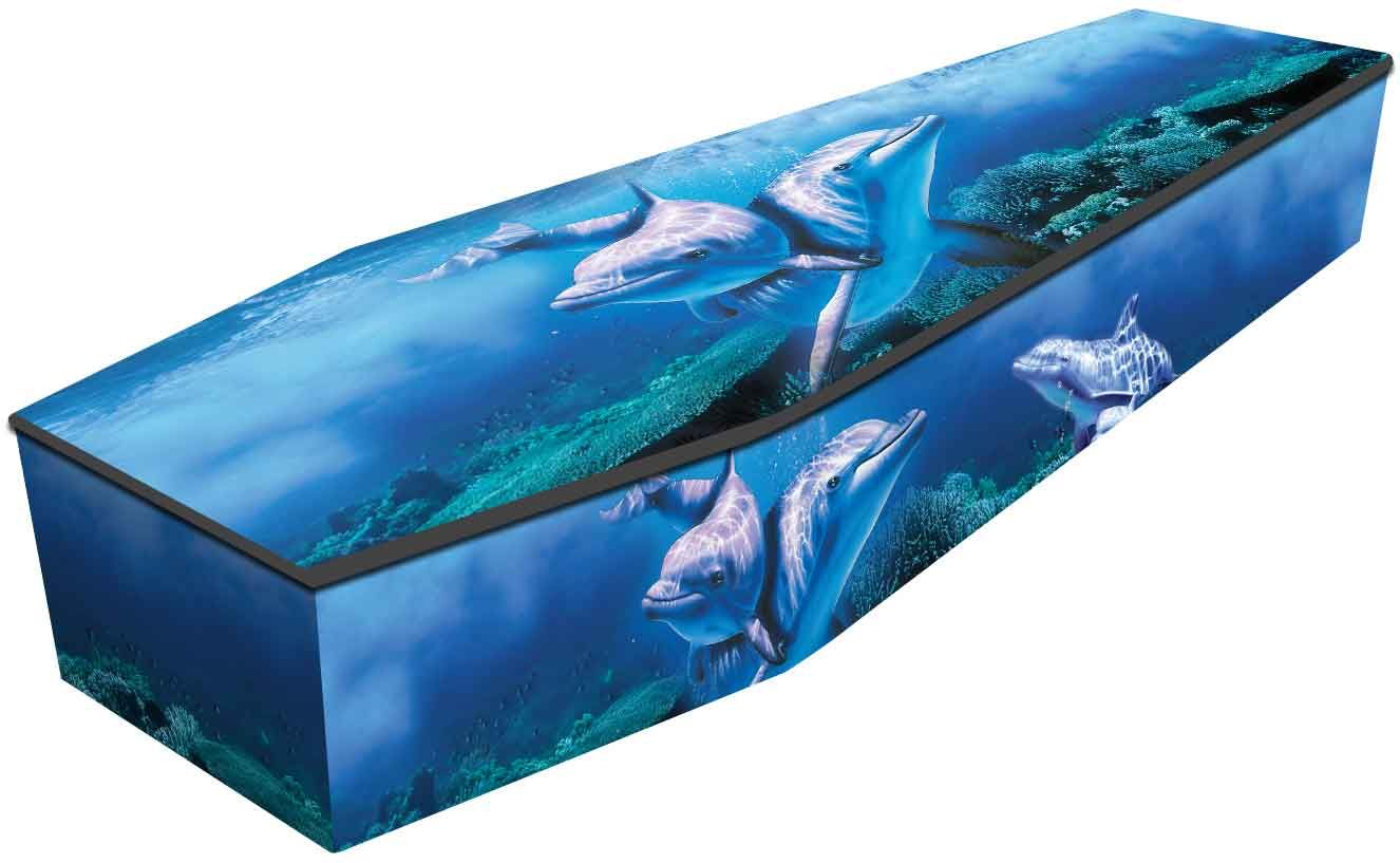Coffins Caskets with pictures  Canterbury