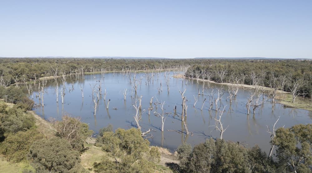 Gum Swamp — Water Resources Drilling In Forbes, NSW