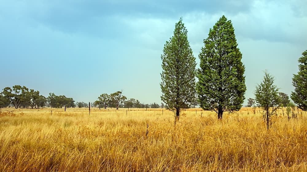 Outback At Dubbo — Water Resources Drilling In Dubbo, NSW