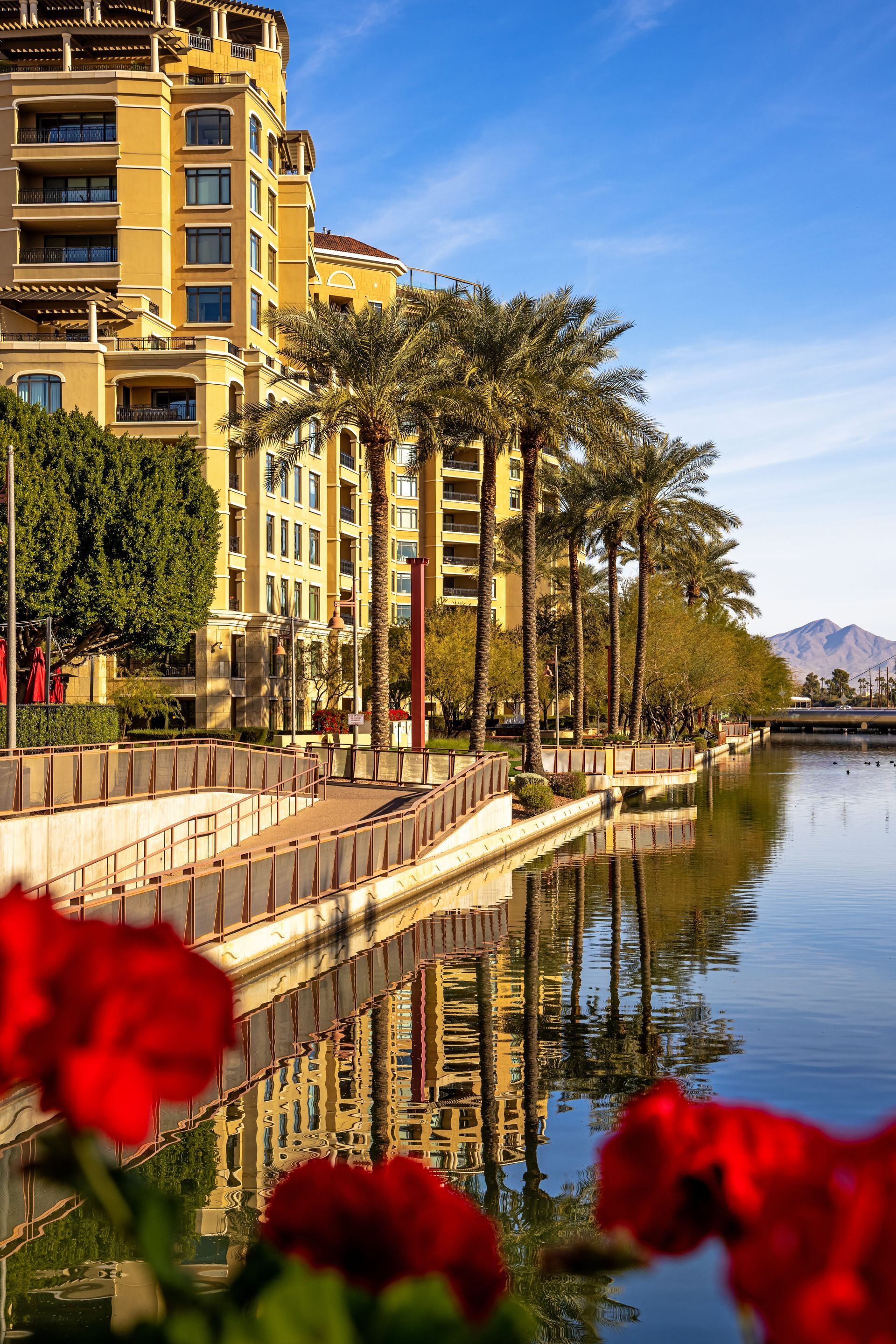 Waterfront buildings and palm trees reflect in canal water, red flowers in foreground, blue sky.