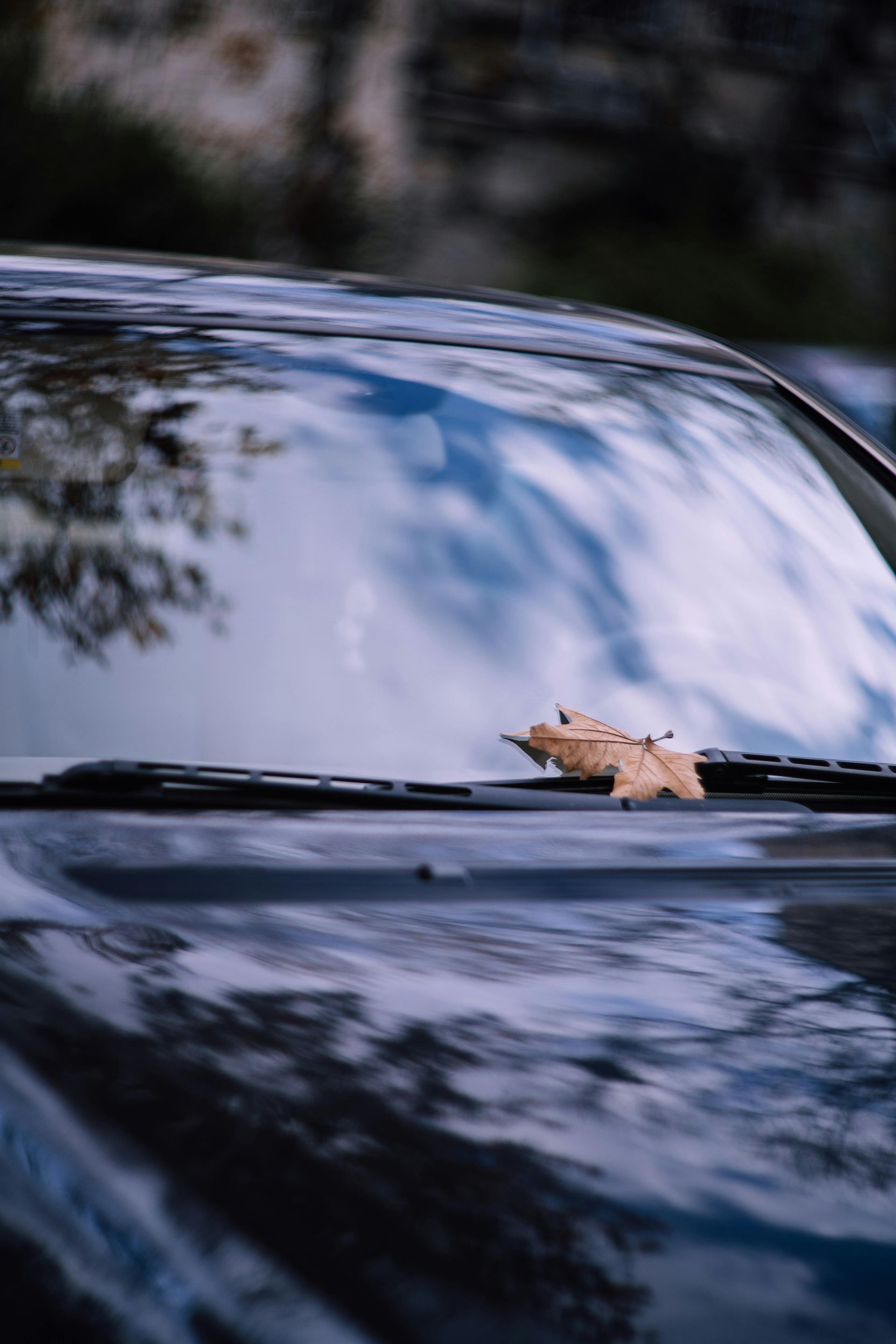 Why Your Windshield Wipers Matte | 5th Gear Auto
