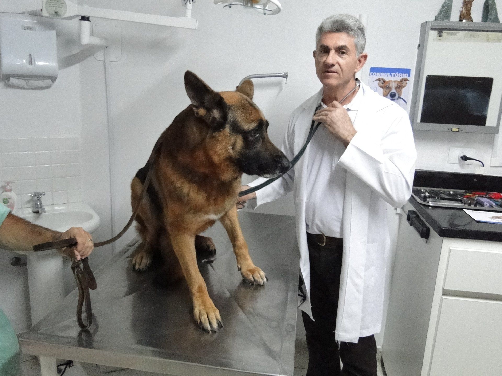RMM - clínica veterinária