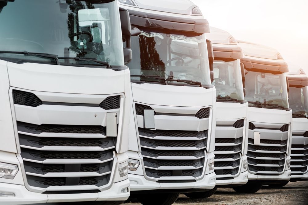 Line of white semi-trucks parked in a row, with sunlight reflecting off the cabs.