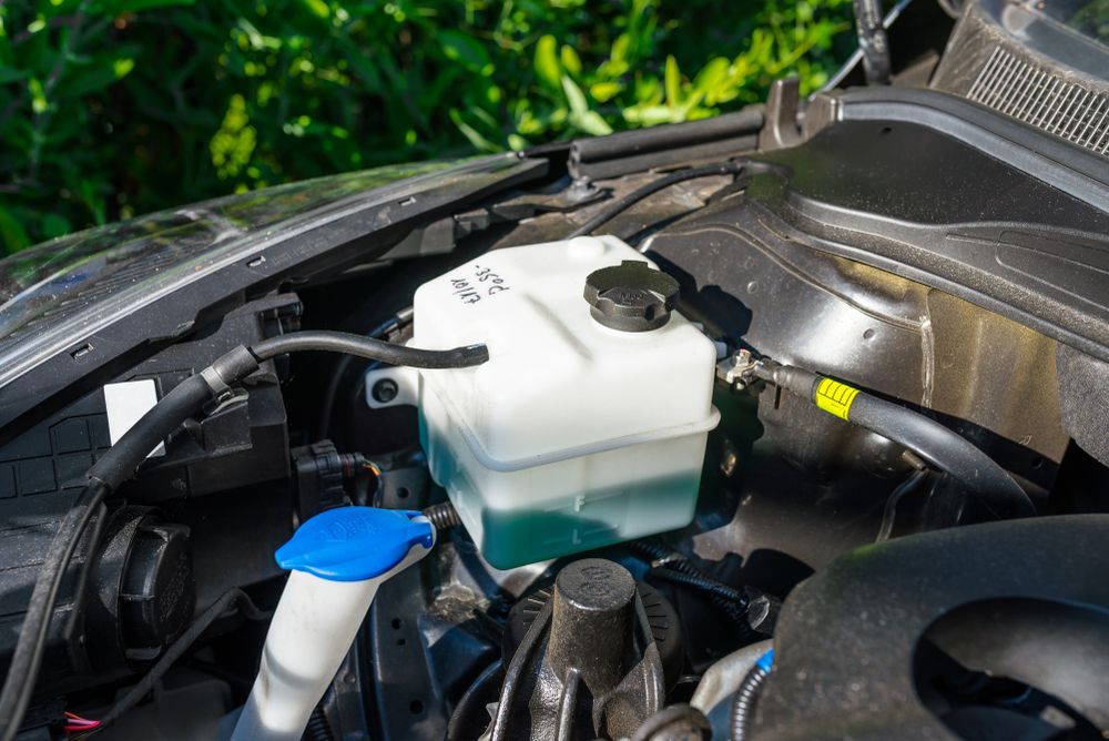 Engine compartment with a white coolant reservoir and a blue windshield washer fluid reservoir.