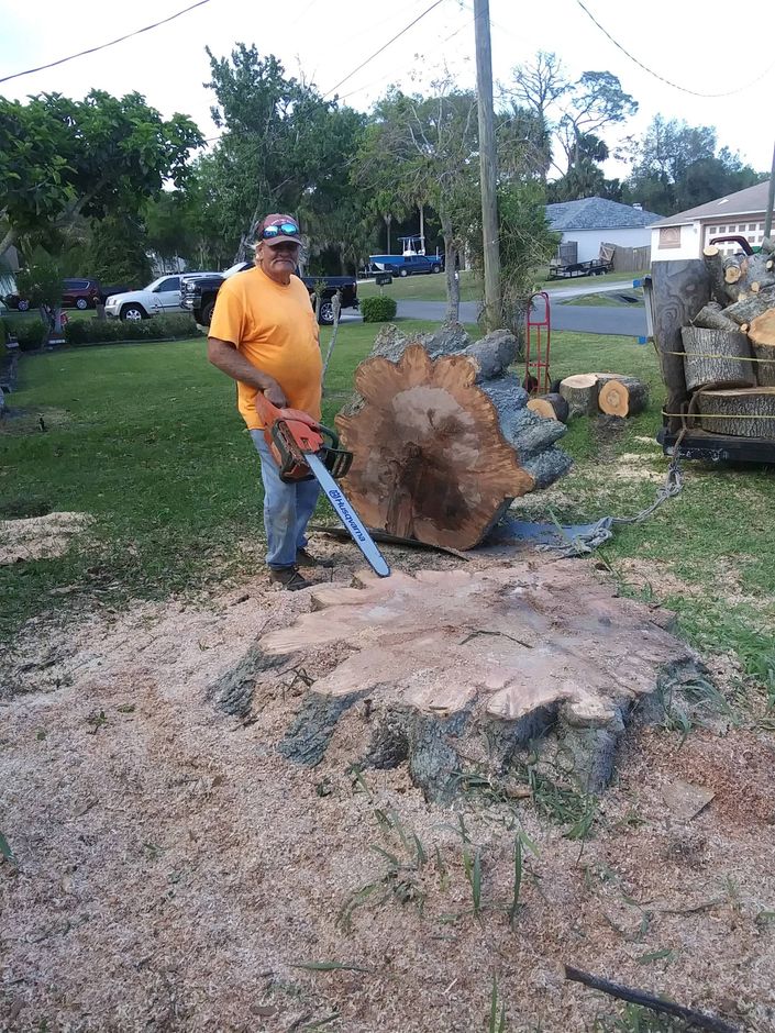 Man Cutting Tree Stump | Merritt Island, FL | Don’s Tree Service