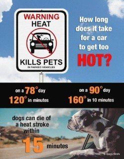 A sign that says warning heat kills pets and how long does it take for a car to get too hot