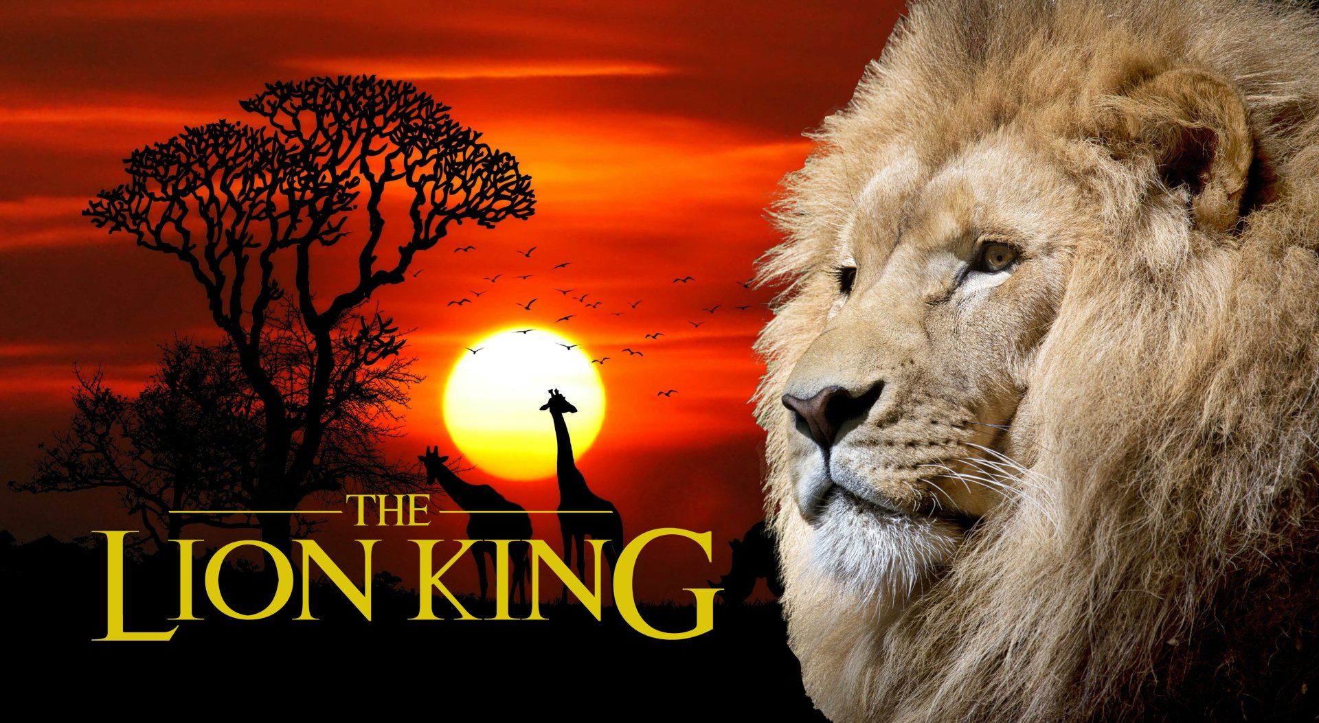 A poster for the movie the lion king with a lion and giraffes in the background.